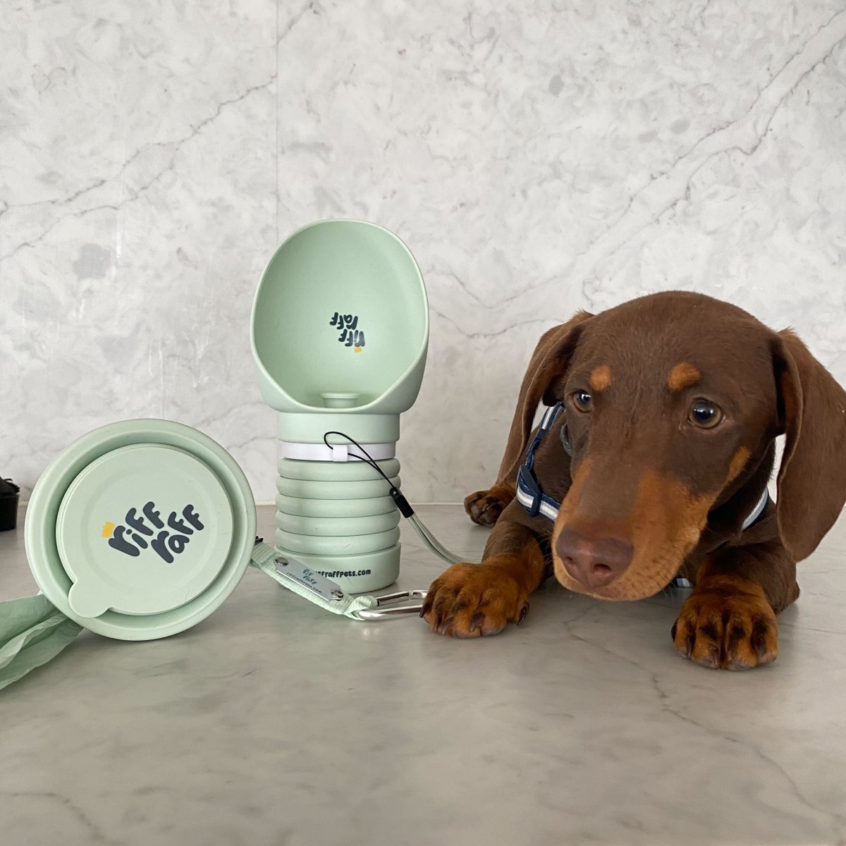 Canine Caddy