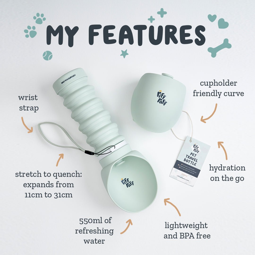 Pet Travel Bottle
