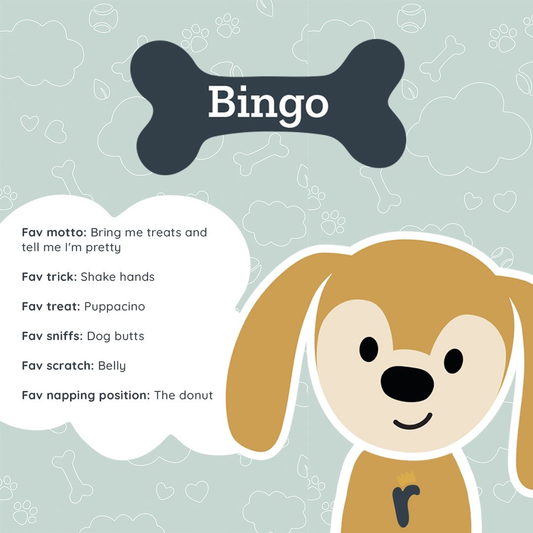 Puppy Comforter - Bingo The Dog